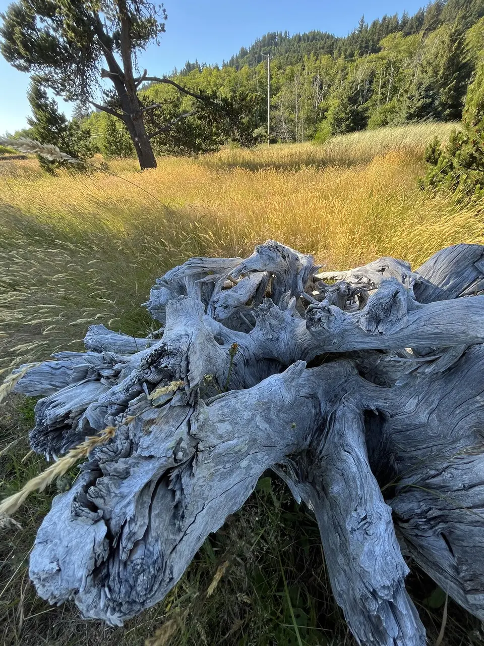 Columbia River, near Astoria, Oregon — June 29, 2025