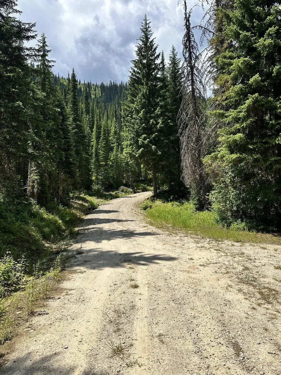 Lolo Trail — July 6, 2023