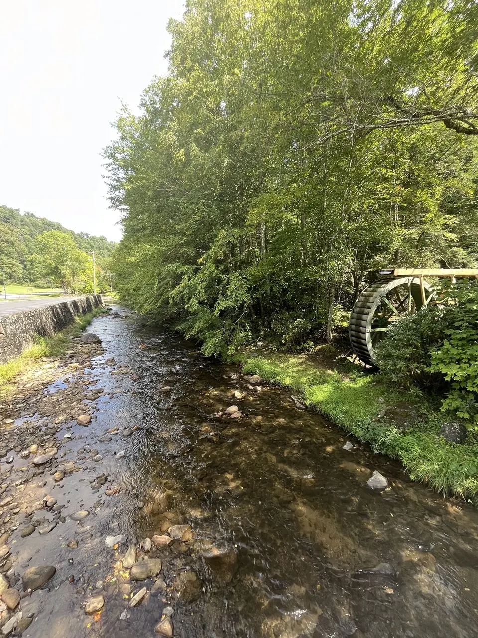 Roan Mountain, Tennessee — September 6, 2025