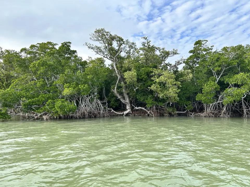 Monroe County, Florida — January 14, 2025