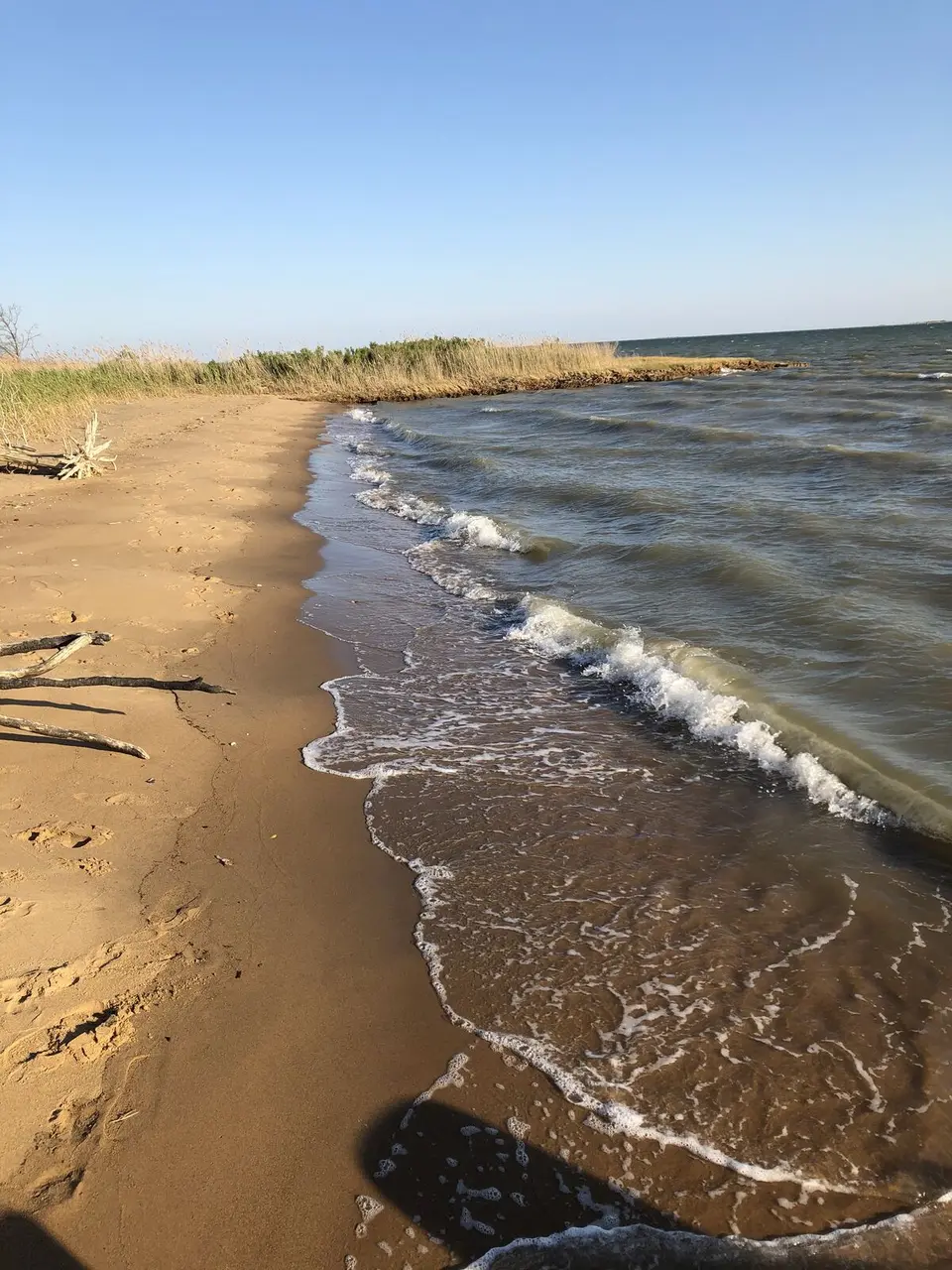 Dorchester County, Maryland — May 15, 2020