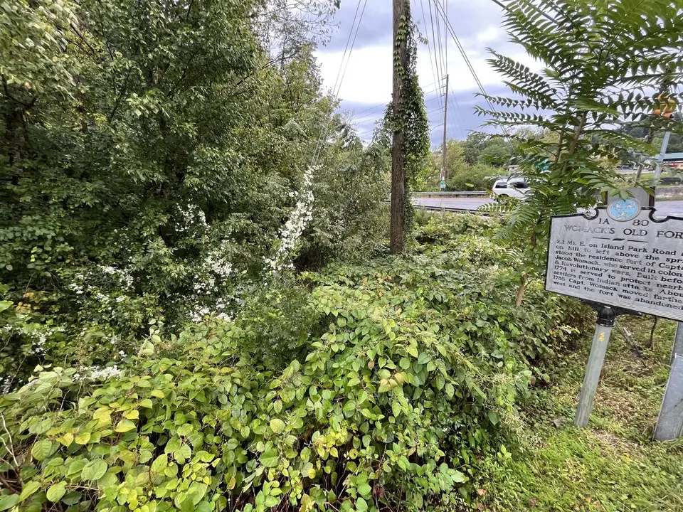 Bluff City, Tennessee — September 4, 2025