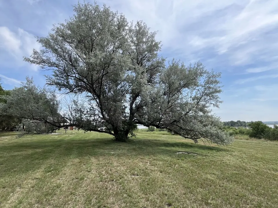 Williams County, North Dakota — August 2, 2025