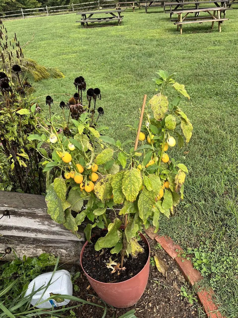 Near Oak Grove, Tennessee — September 5, 2025