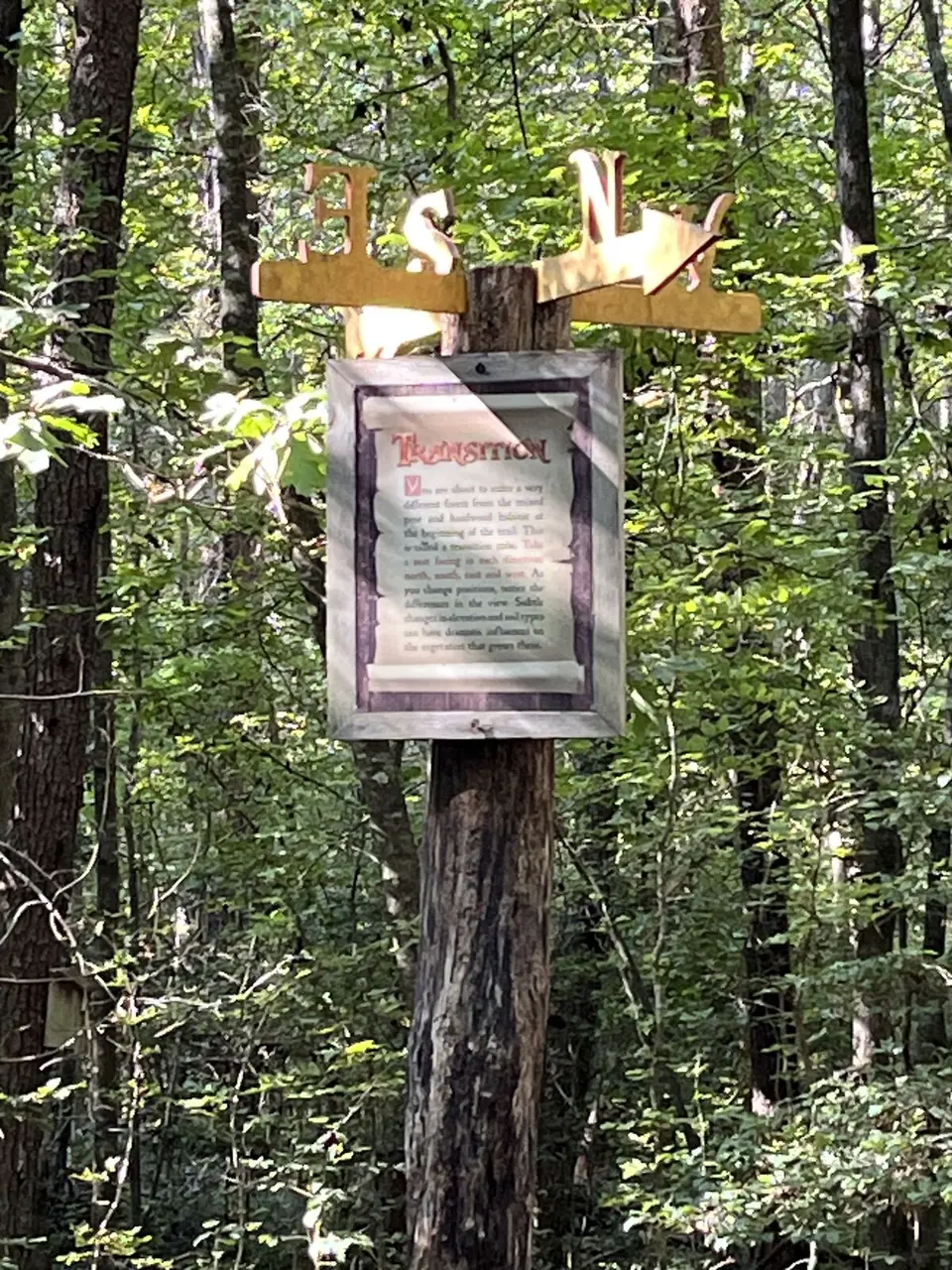 Near Glen Alpine, North Carolina — September 10, 2025