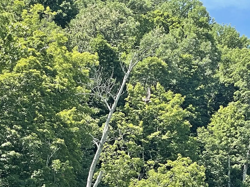Ohio River, near Buckner, Kentucky — June 24, 2022