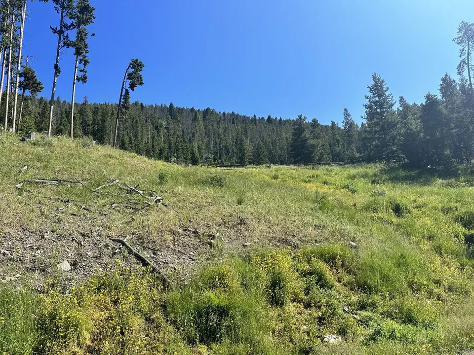 Lemhi Pass — July 11, 2023