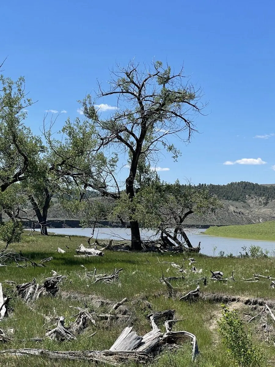 Fergus County, Montana — July 16, 2022