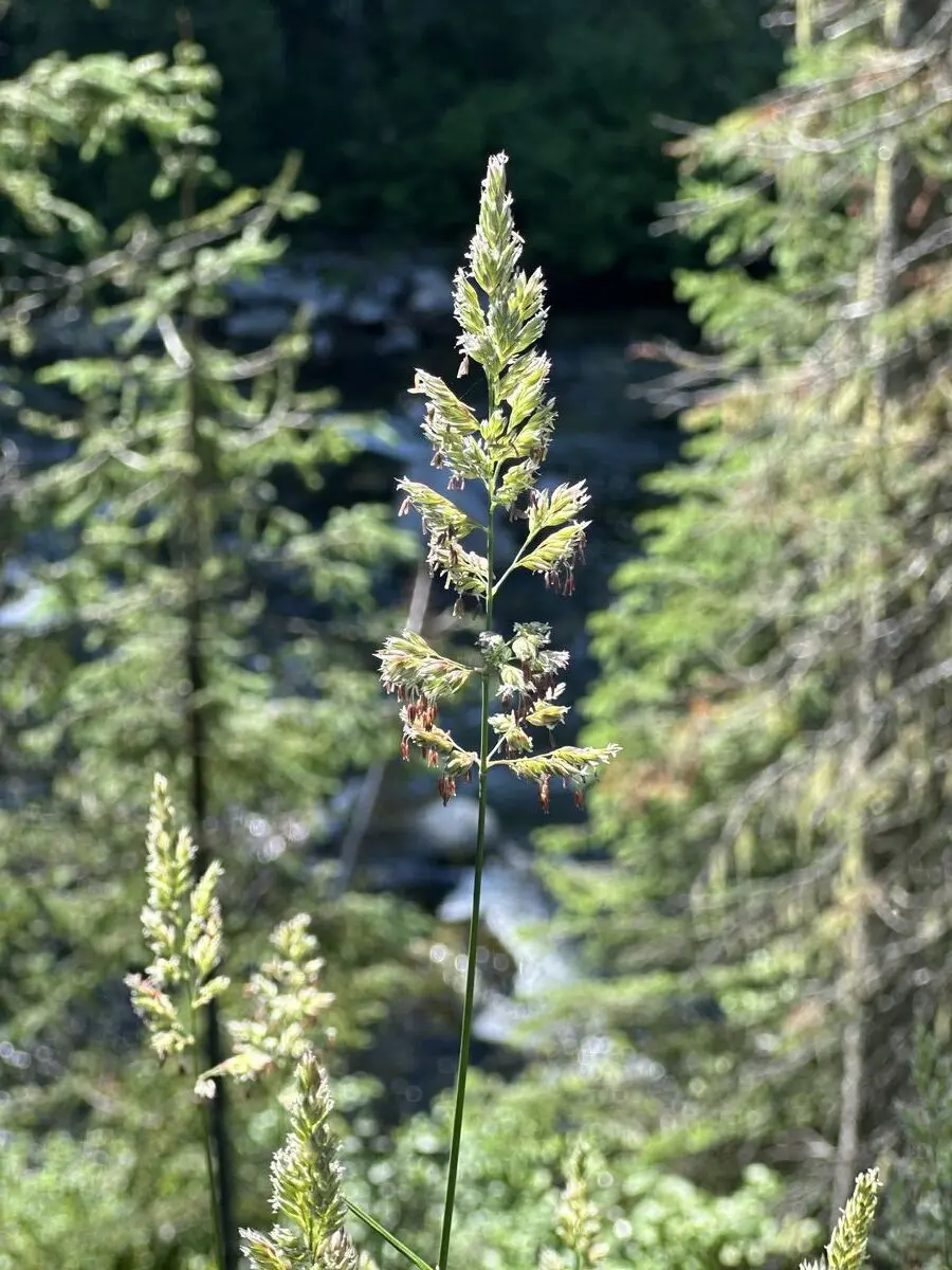 Lolo Trail — July 6, 2023