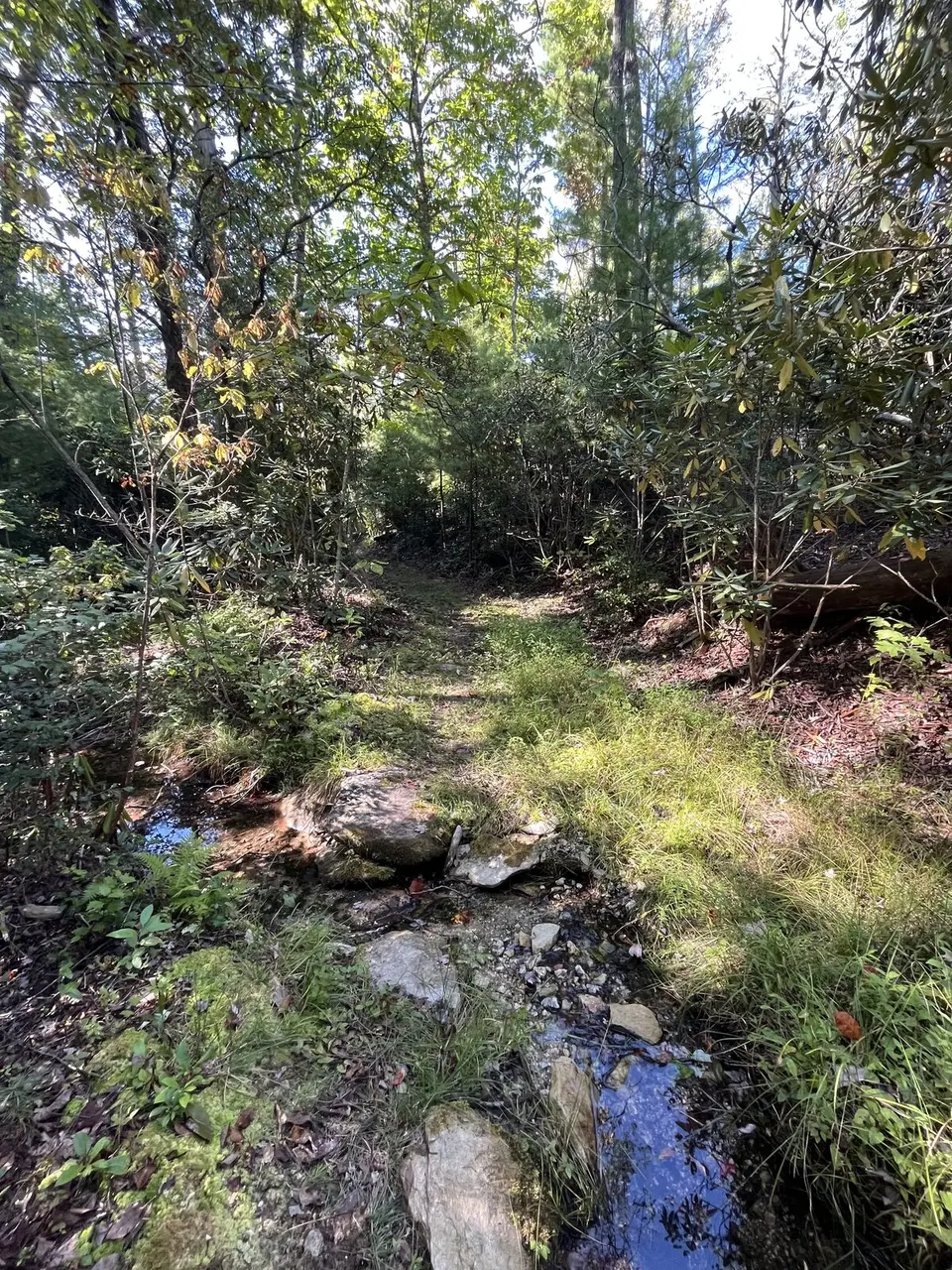 Near Spruce Pine, North Carolina — September 8, 2025