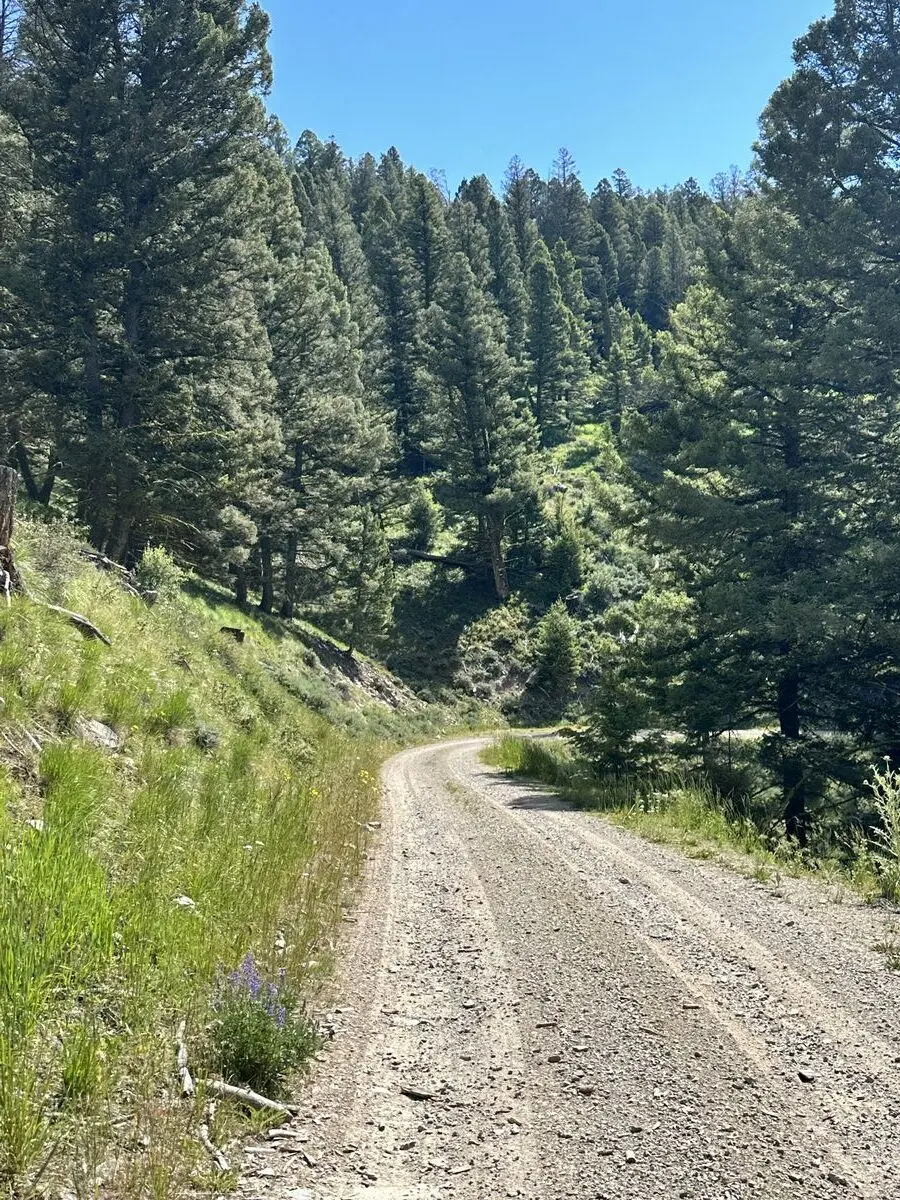 Lemhi Pass — July 11, 2023