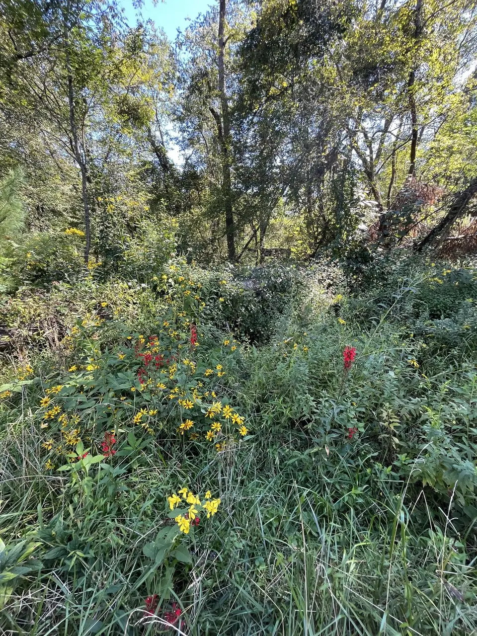 Near Spruce Pine, North Carolina — September 7, 2025