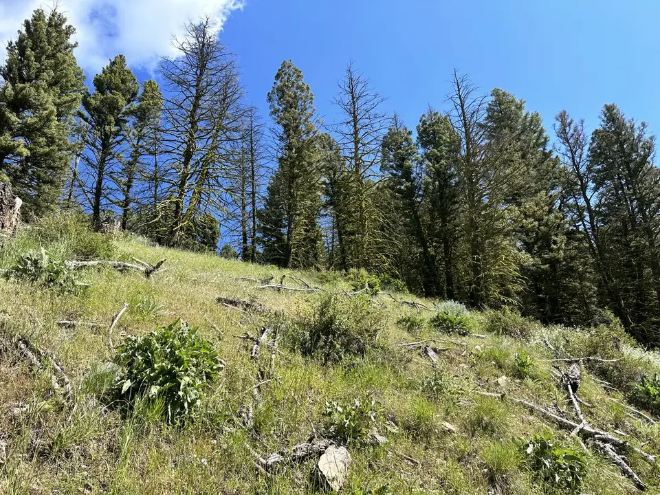 Lemhi Pass — July 11, 2023