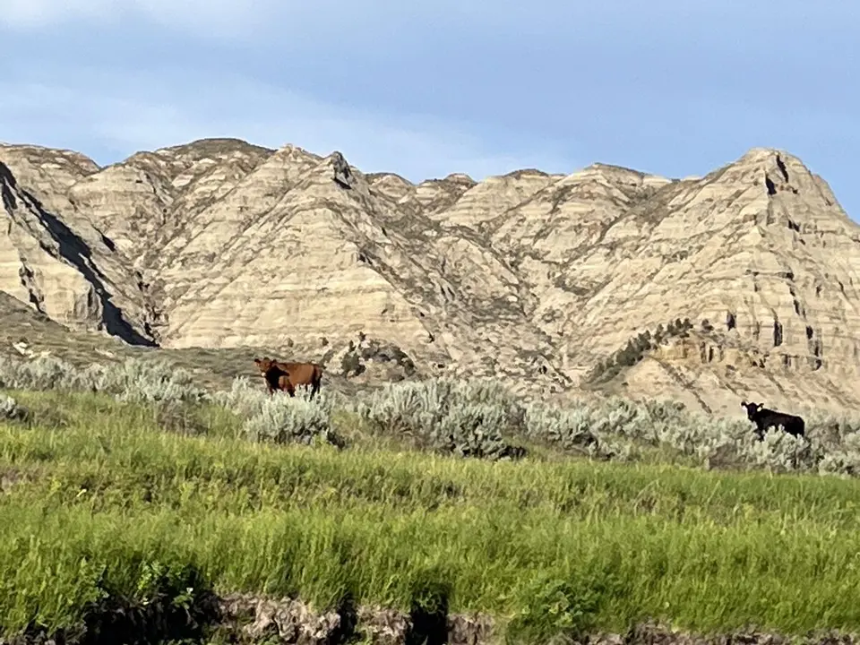 Fergus County, Montana — July 15, 2022