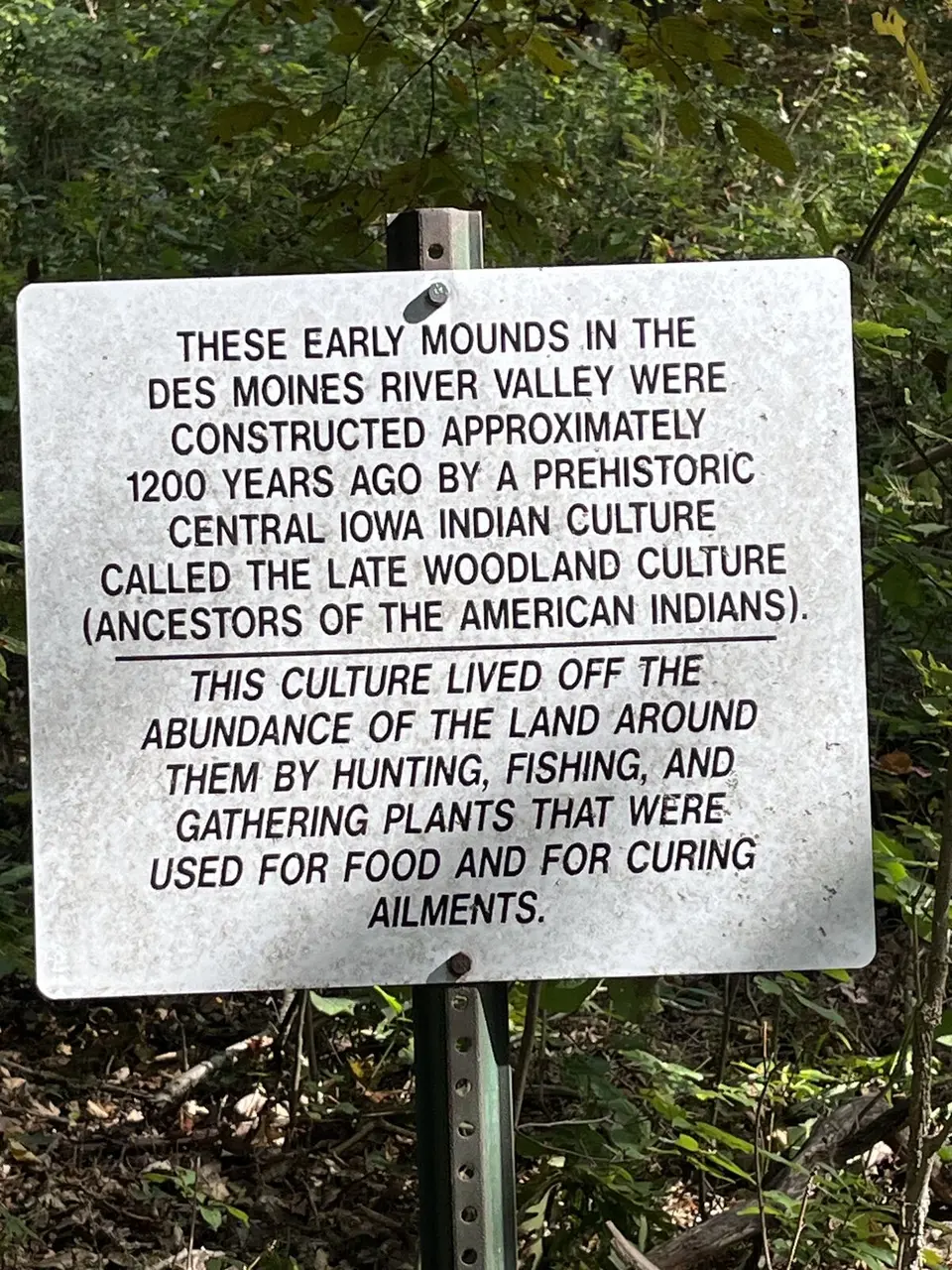 Des Moines River, near Centerville, Iowa — September 21, 2025