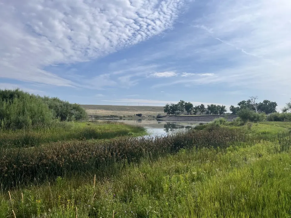 Near Sun Prairie, Montana — July 31, 2025