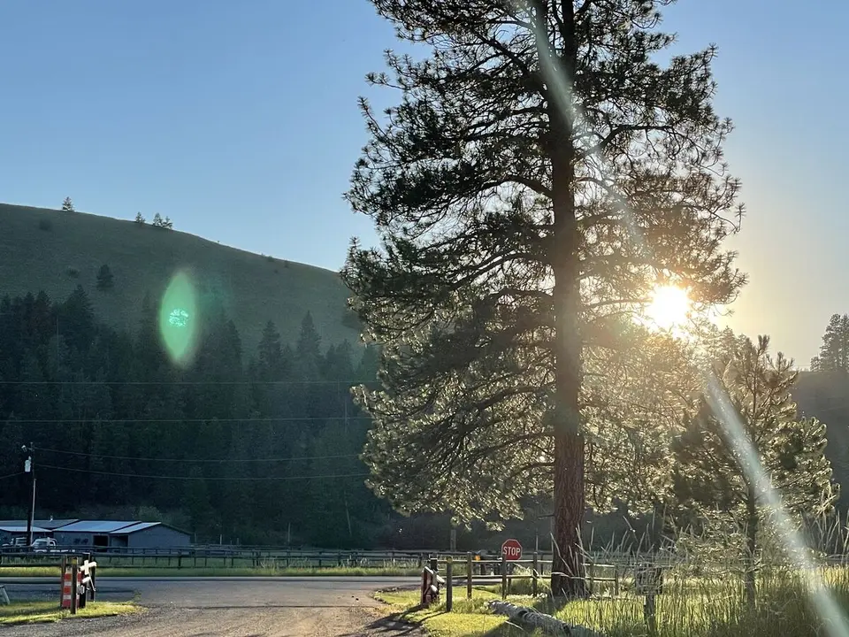 Blackfoot River, near Clinton, Montana — July 11, 2022