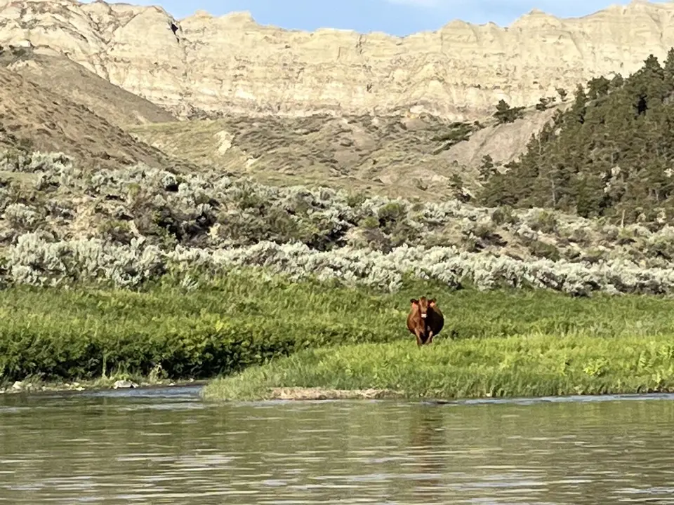 Blaine County, Montana — July 15, 2022