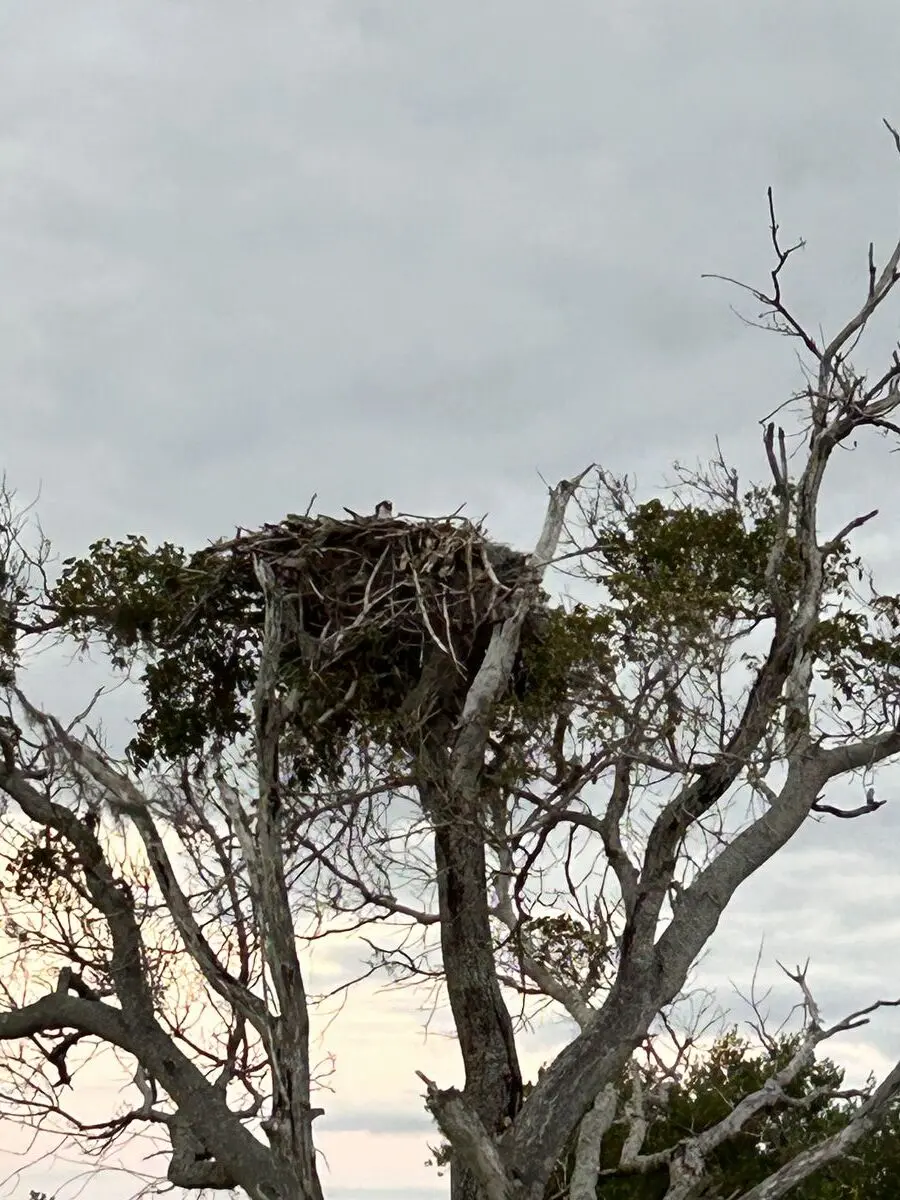 Monroe County, Florida — January 12, 2025