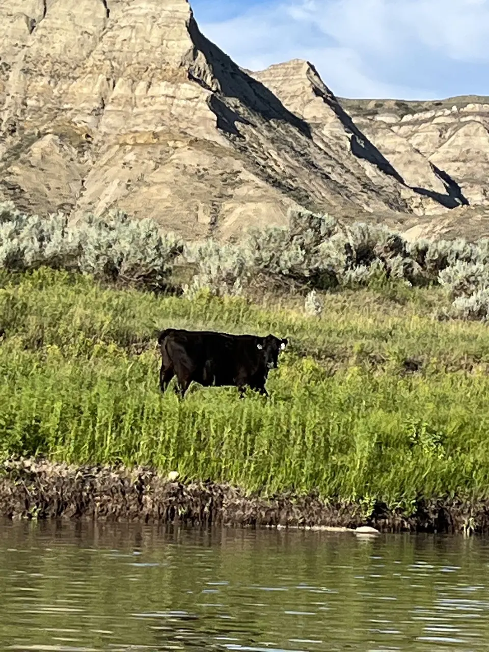 Fergus County, Montana — July 15, 2022