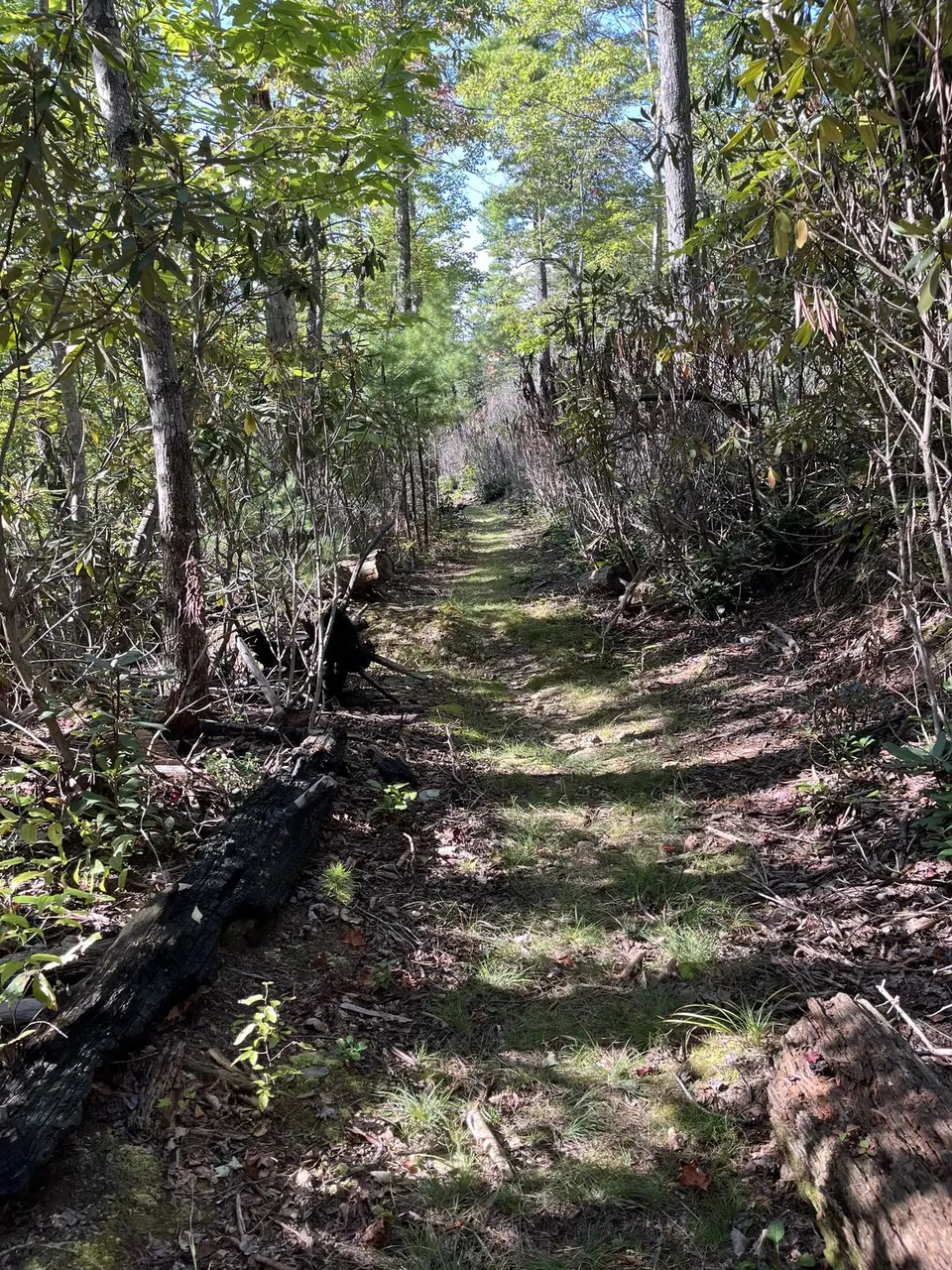 Near Spruce Pine, North Carolina — September 8, 2025