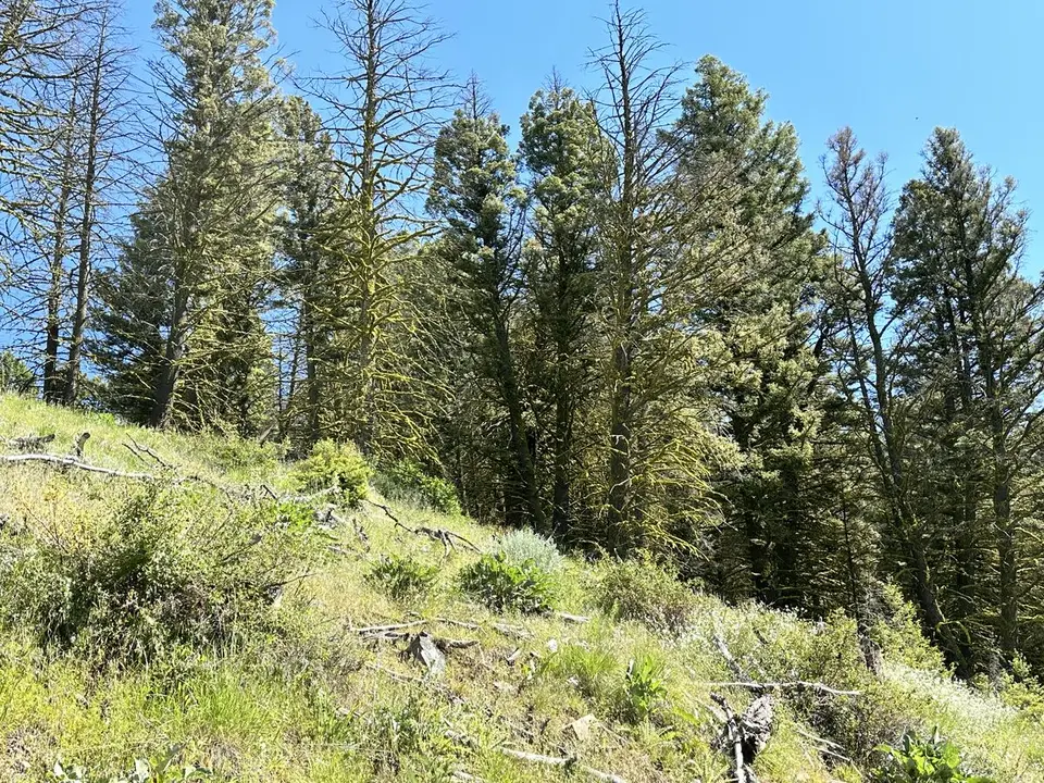 Lemhi Pass — July 11, 2023