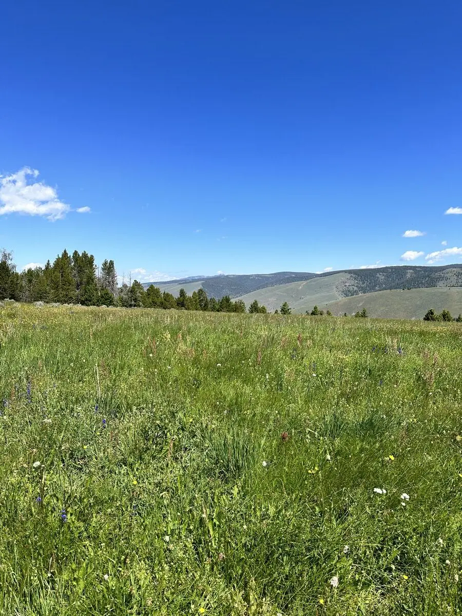 Lemhi Pass — July 11, 2023