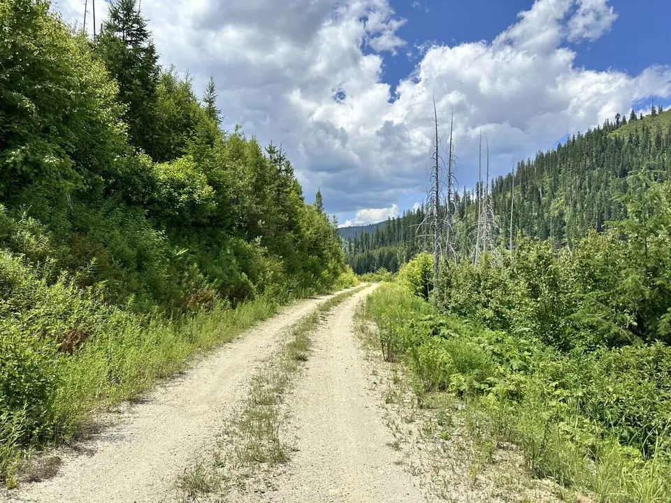 Lolo Trail — July 6, 2023