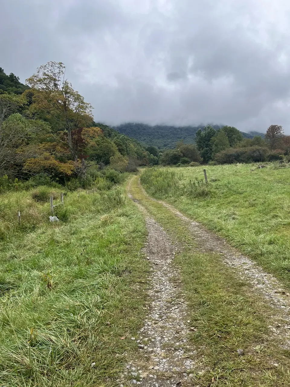 Near Roan Mountain, Tennessee — September 7, 2025