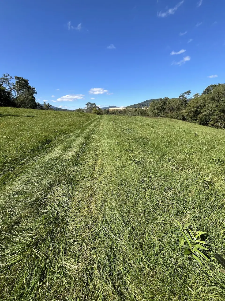 Near Spruce Pine, North Carolina — September 7, 2025