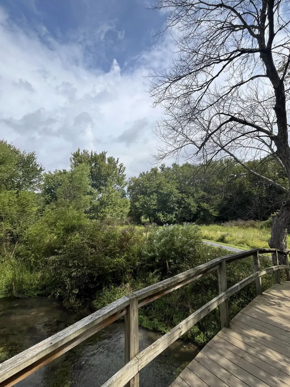 Abingdon, Virginia — September 4, 2025