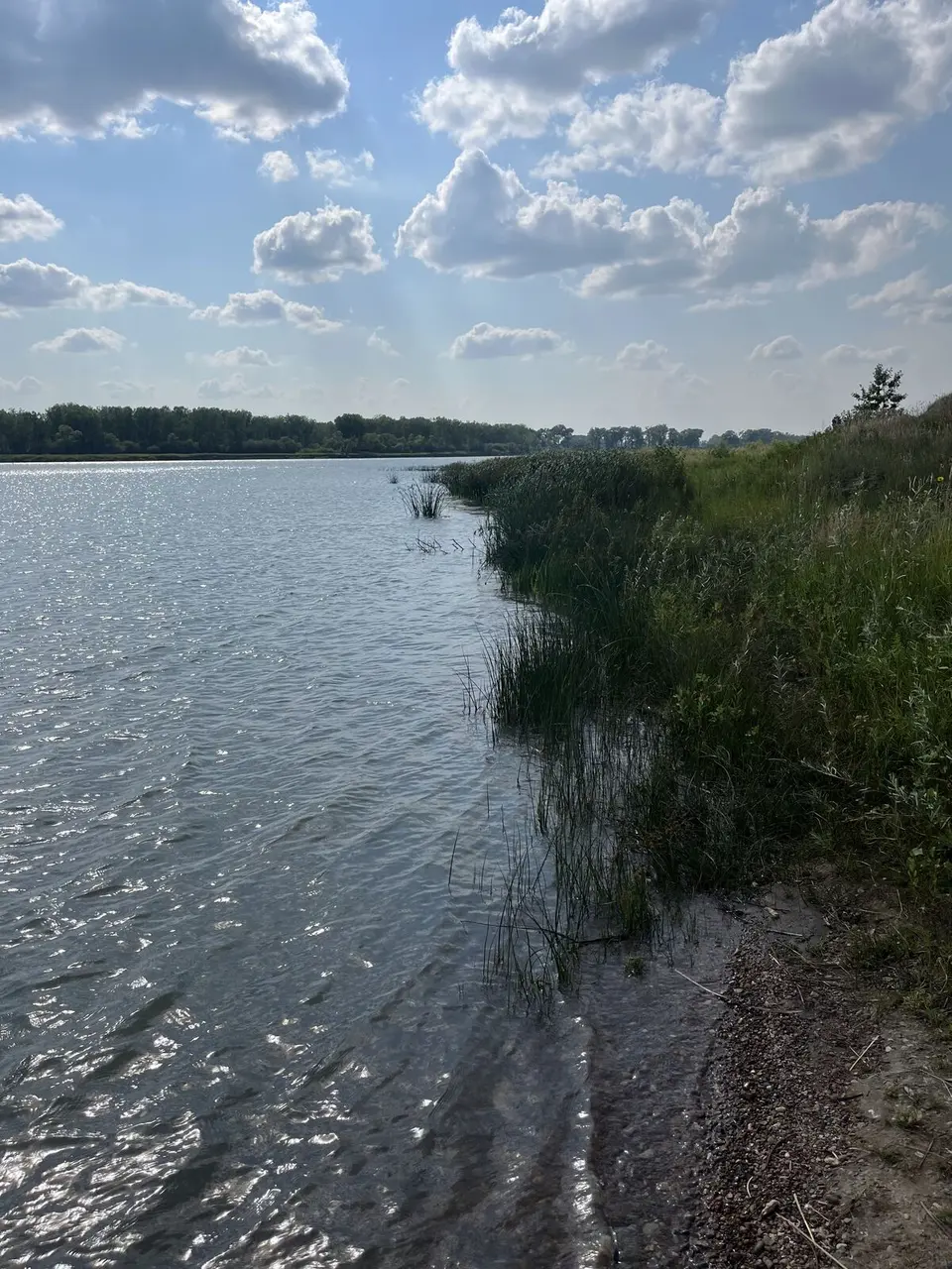 Near Wolf Point, Montana — August 1, 2025