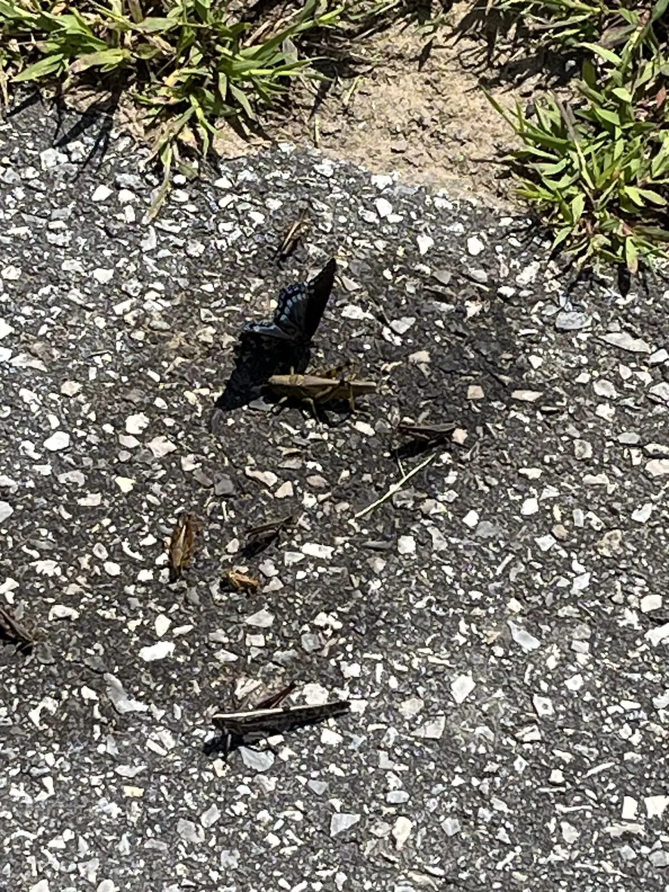 Marion, North Carolina — September 9, 2025