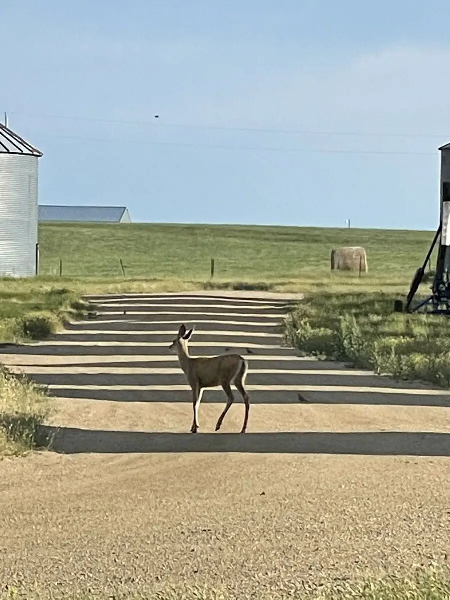 Fergus County, Montana — July 15, 2022