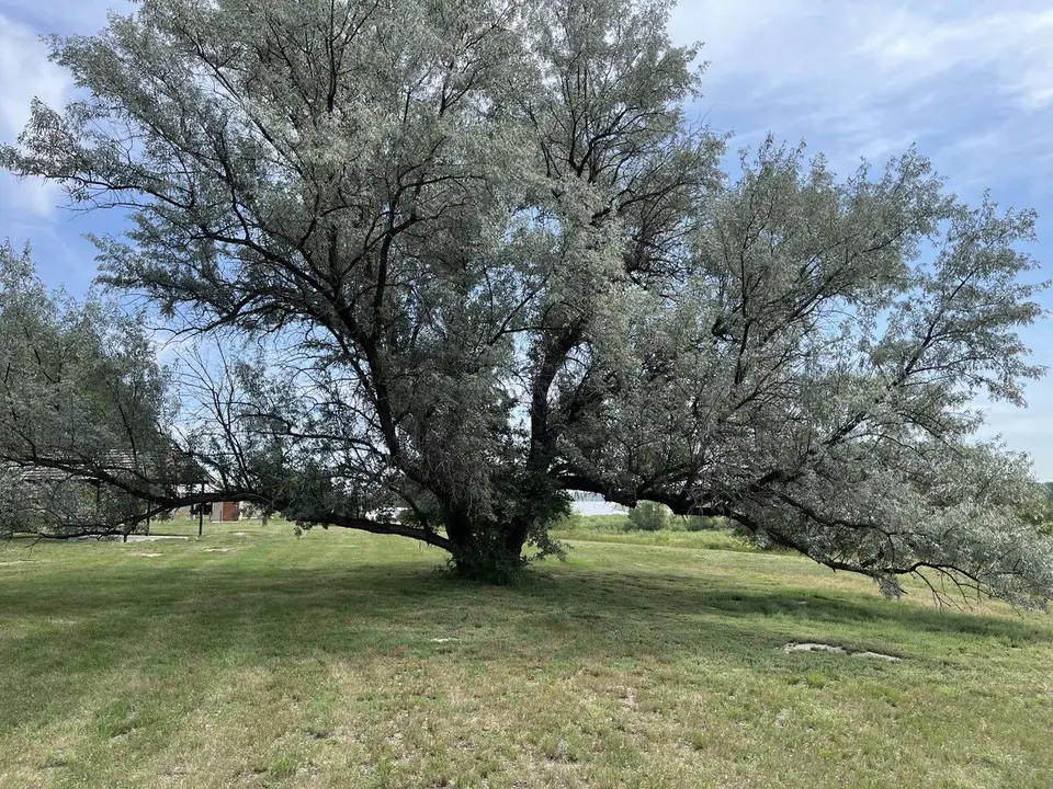 Williams County, North Dakota — August 2, 2025