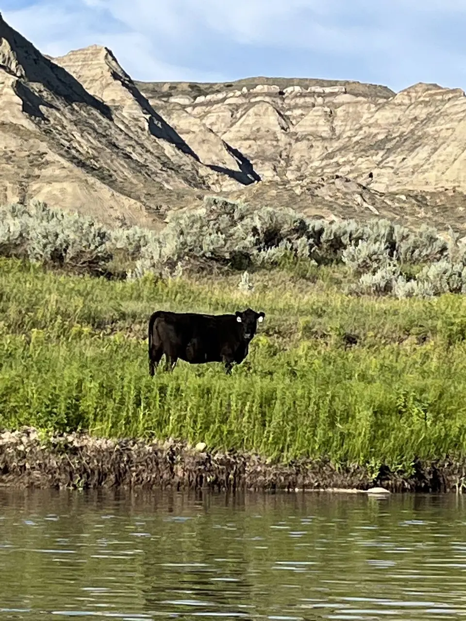 Fergus County, Montana — July 15, 2022