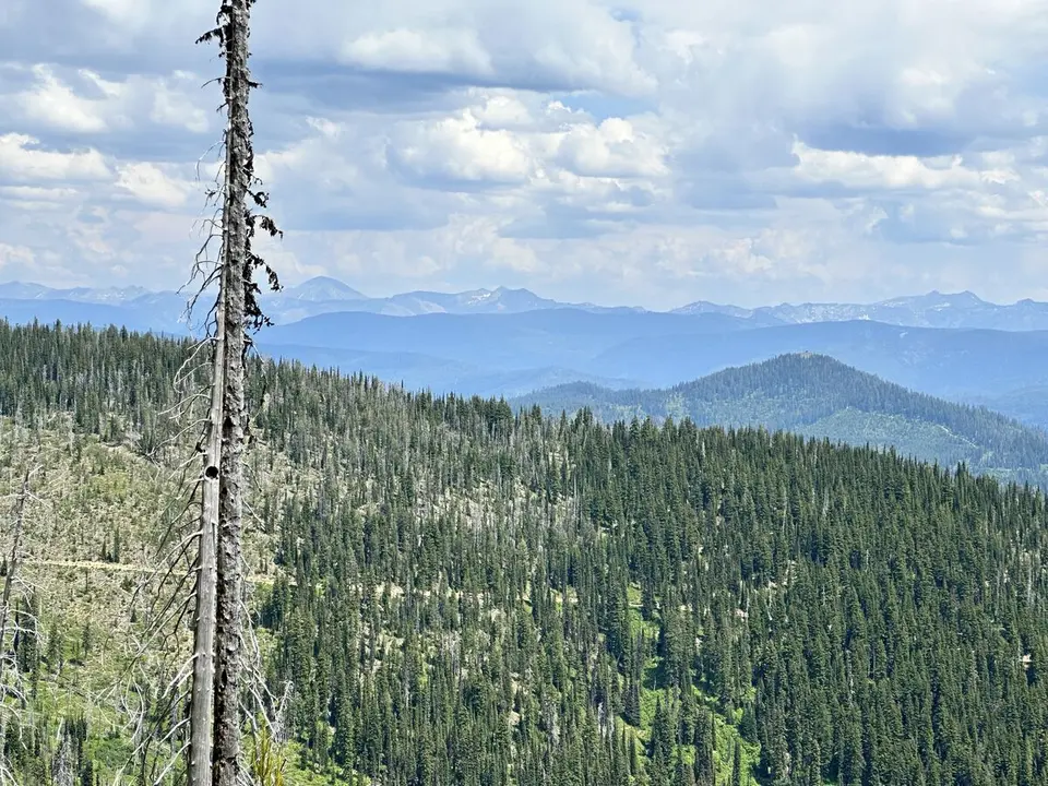 Lolo Trail — July 6, 2023