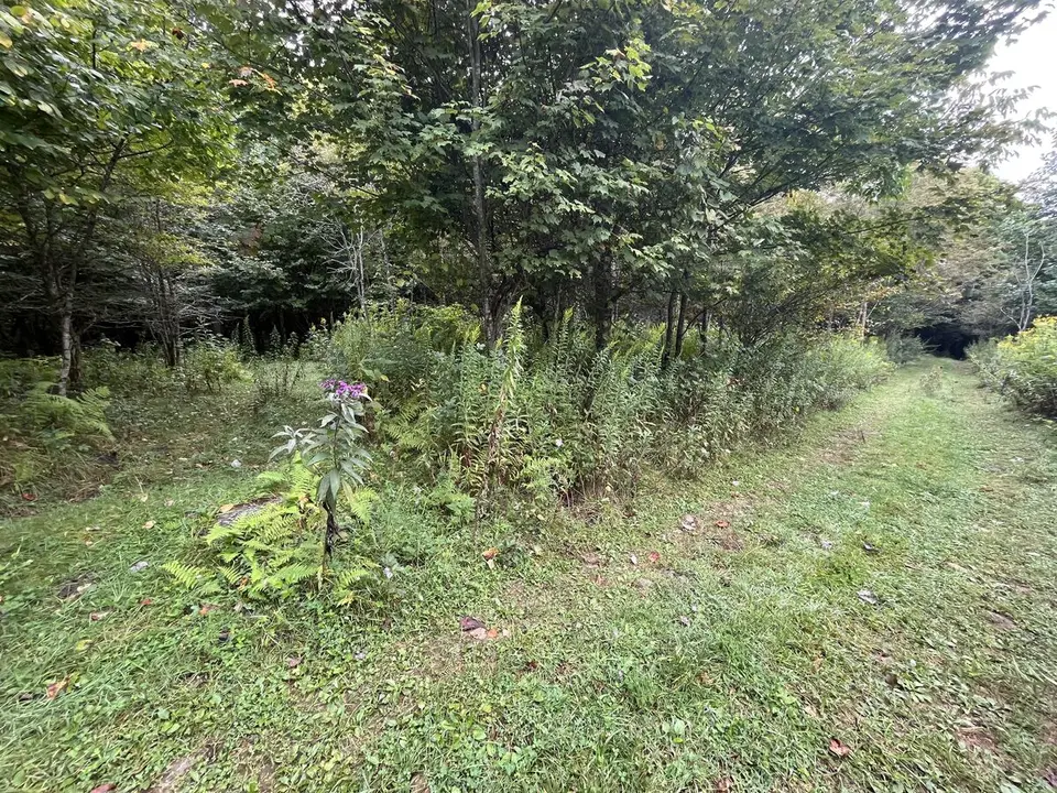 Near Roan Mountain, Tennessee — September 7, 2025