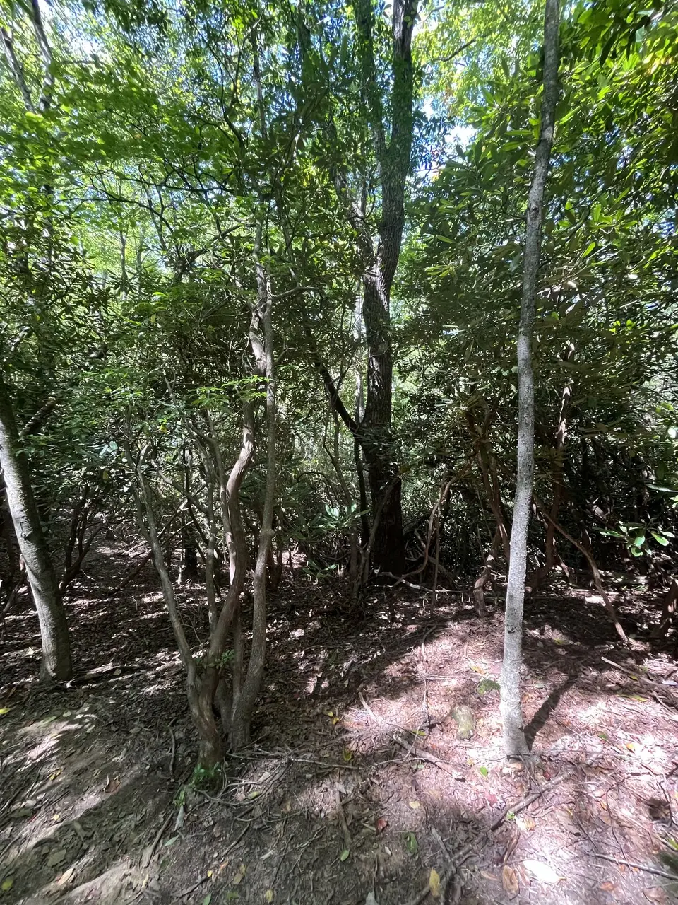Near Spruce Pine, North Carolina — September 8, 2025