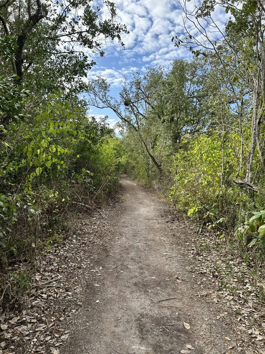 Monroe County, Florida — January 15, 2025