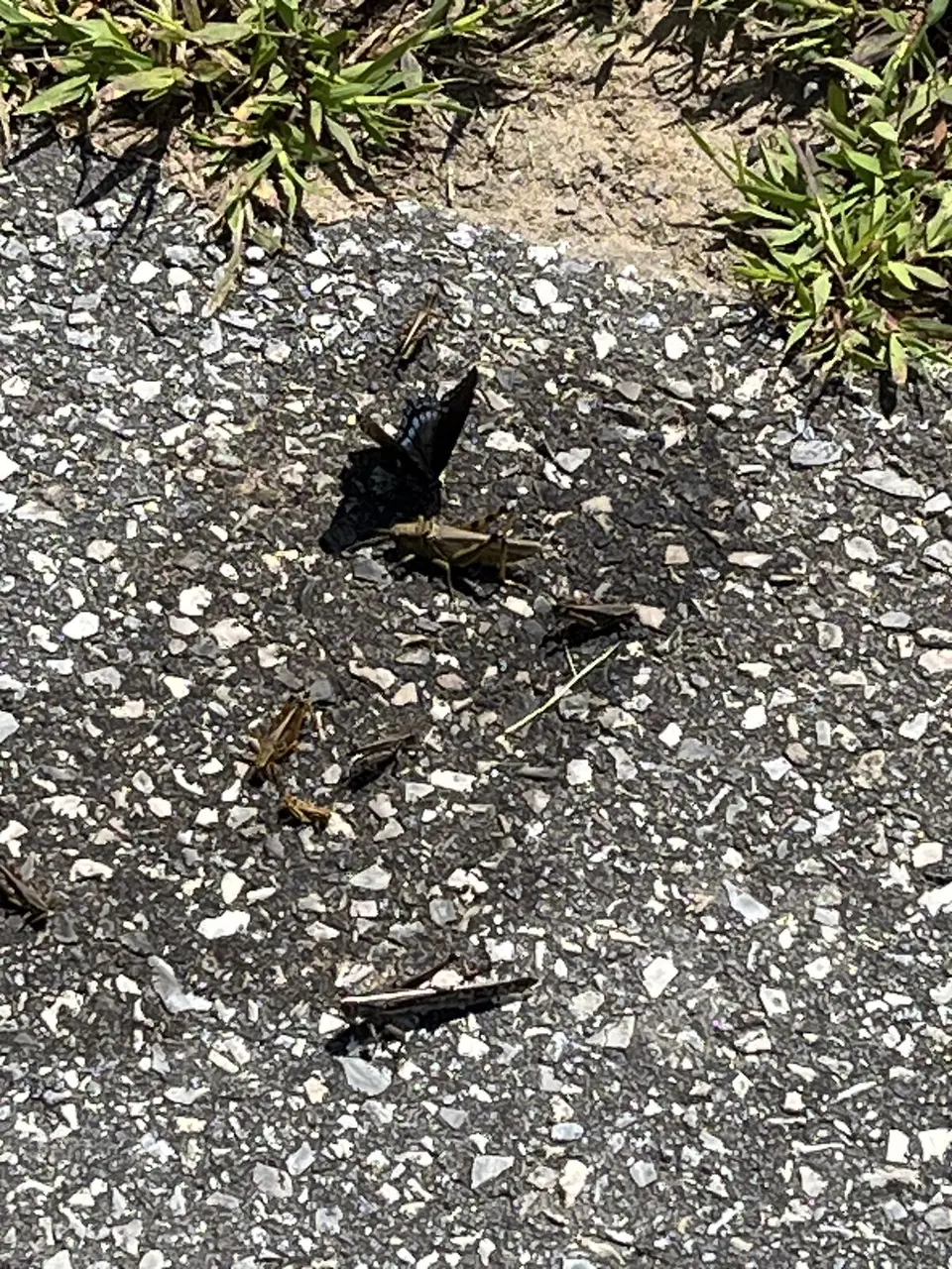 Marion, North Carolina — September 9, 2025