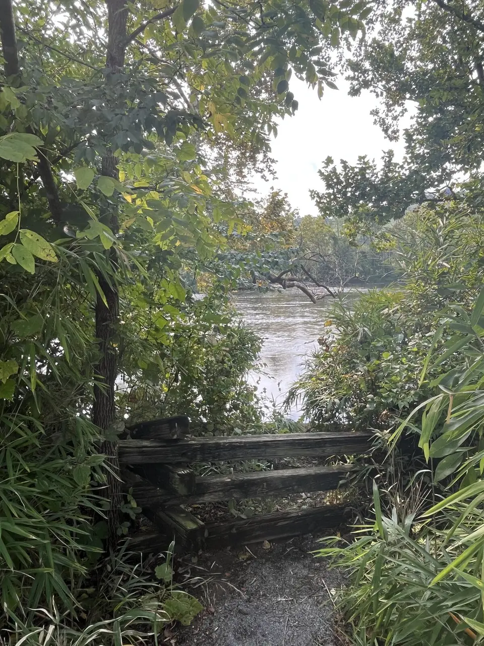 Central, Tennessee — September 5, 2025