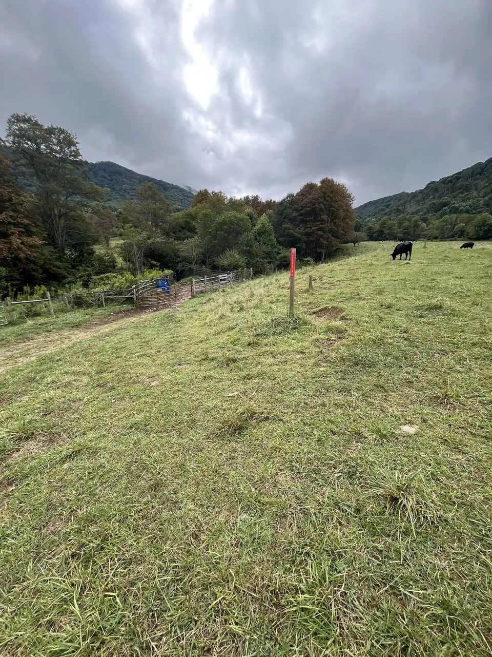 Near Roan Mountain, Tennessee — September 7, 2025
