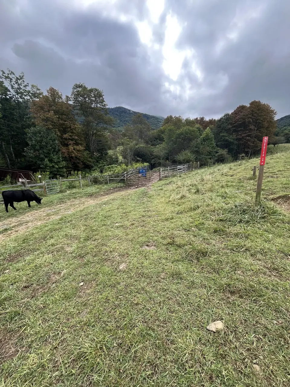 Near Roan Mountain, Tennessee — September 7, 2025