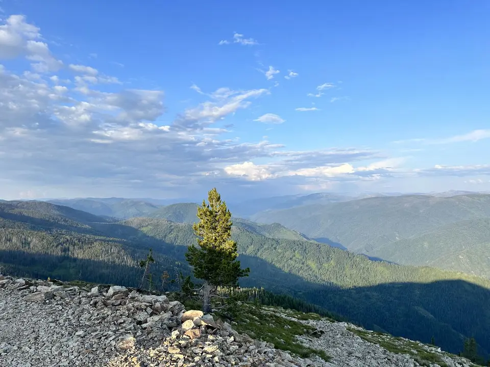 Trail Mapping — July 6, 2023