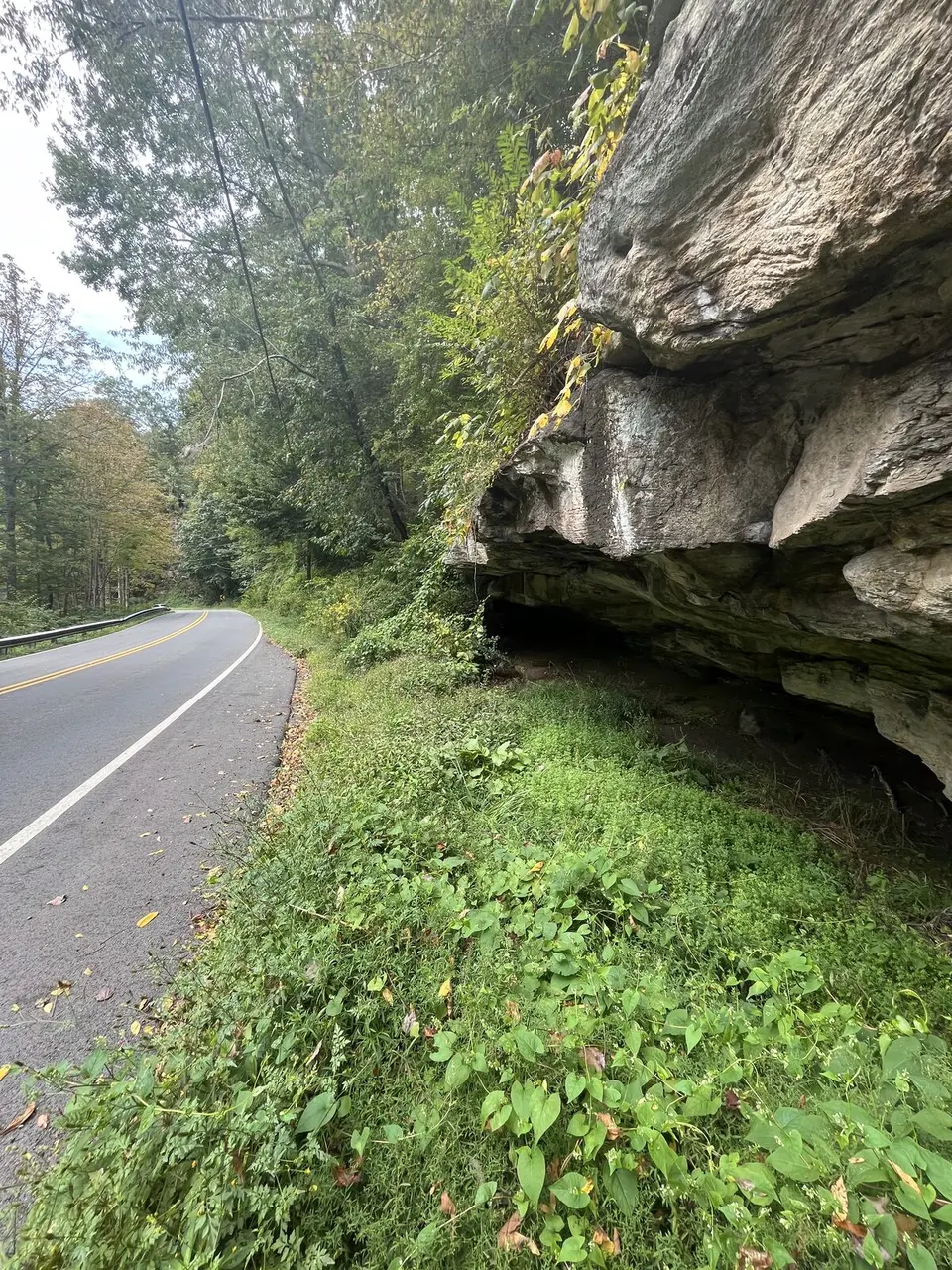 Roan Mountain, Tennessee — September 6, 2025