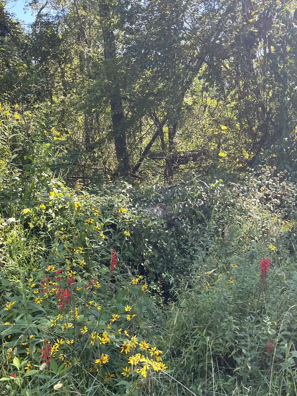 Near Spruce Pine, North Carolina — September 7, 2025