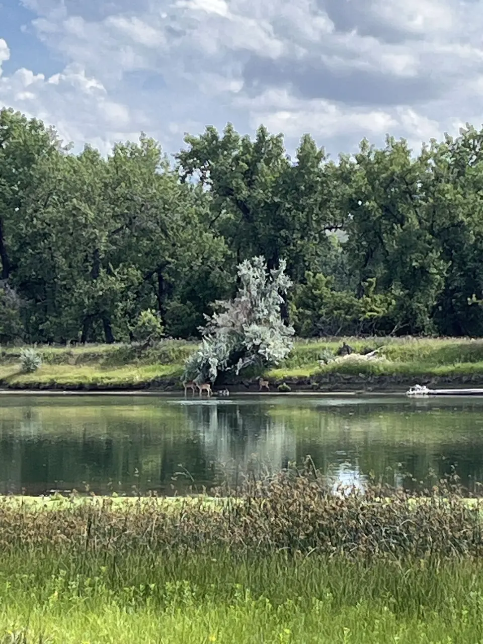 Near Great Falls, Montana — July 31, 2025
