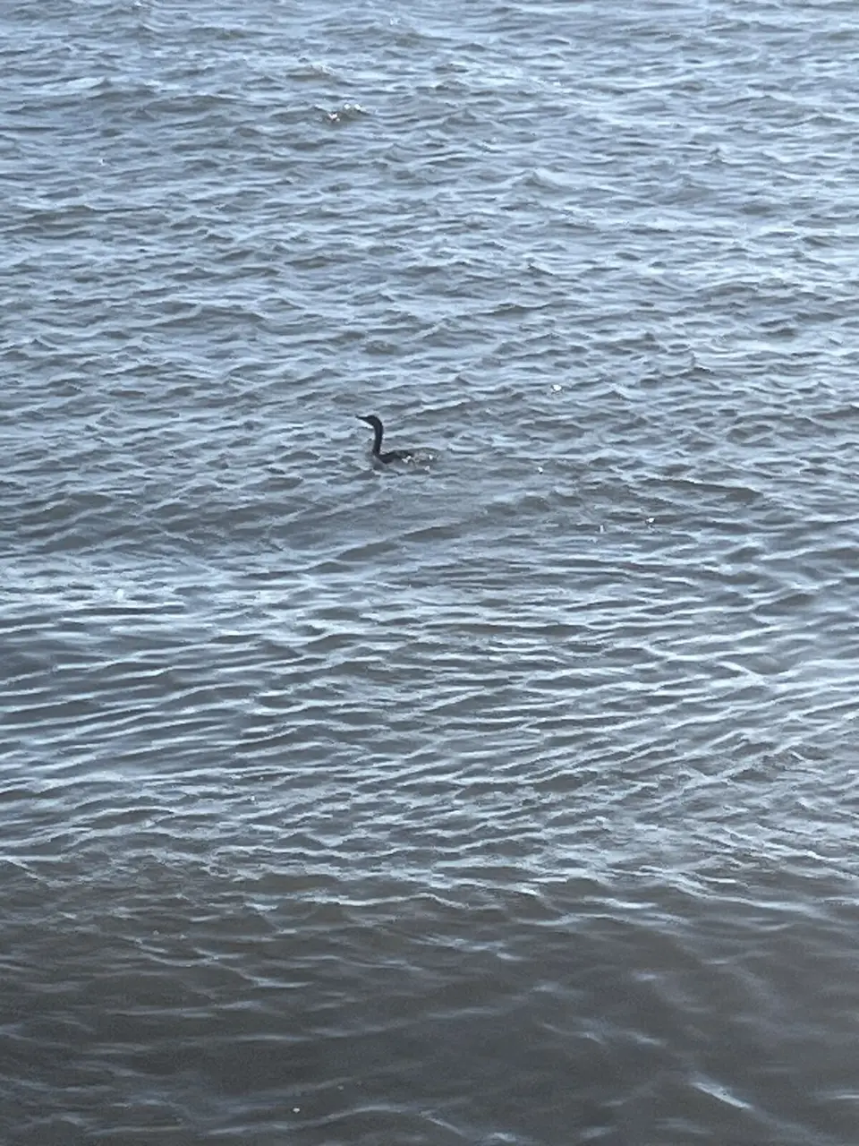 Columbia River, near Astoria, Oregon — June 29, 2025