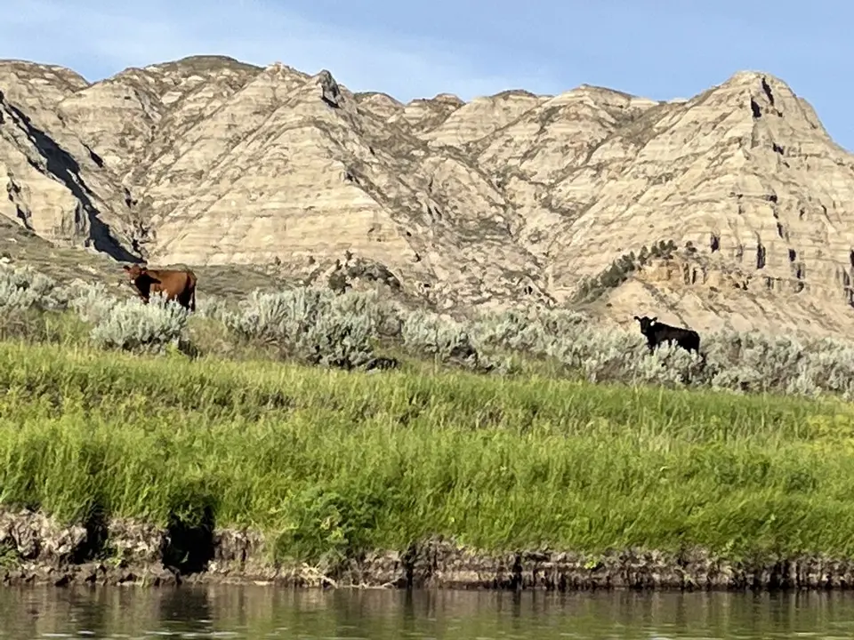 Fergus County, Montana — July 15, 2022